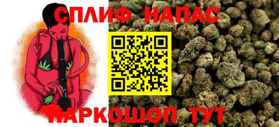 не бодяженный Камышлов