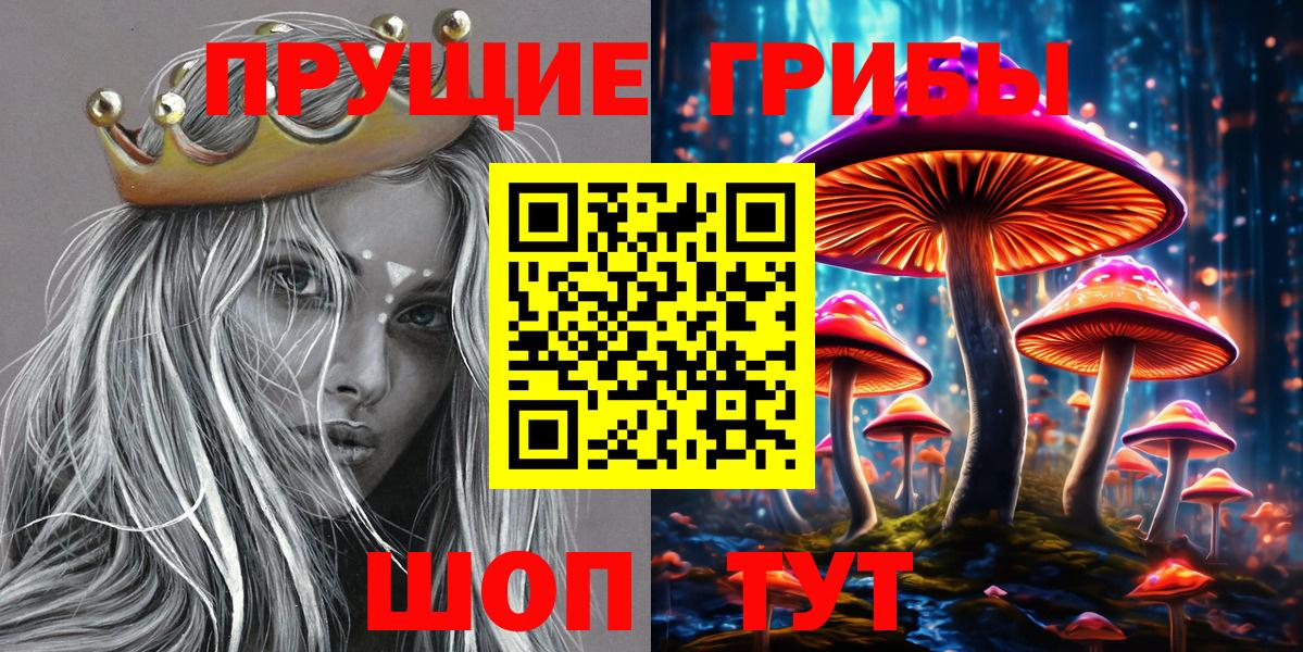 Коряжма  Псилоцибиновые грибы MAGIC MUSHROOMS  Вход с VPN  Галлюциногенные грибы ЛСД 